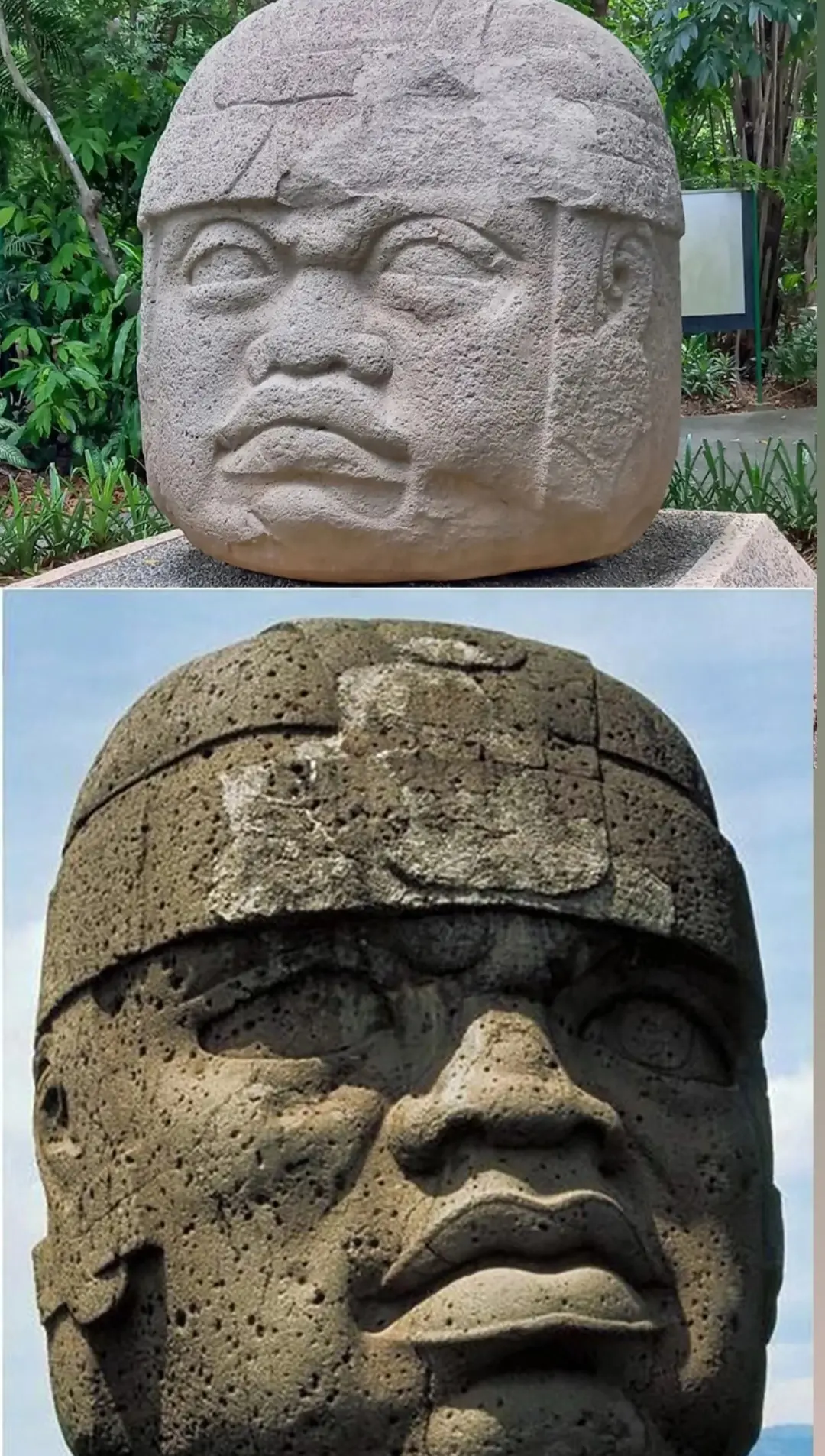 Screenshot_20251203-115654_Gallery