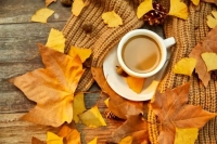 متن زیبا و ادبی در مورد پاییز