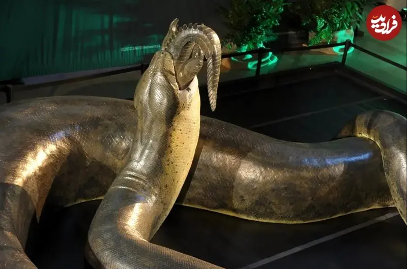 مار غول پیکر