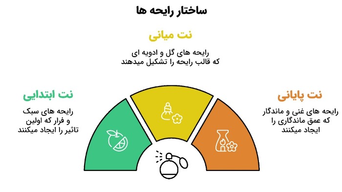 نت های عطرها و تاثیرشان بر پخش بو