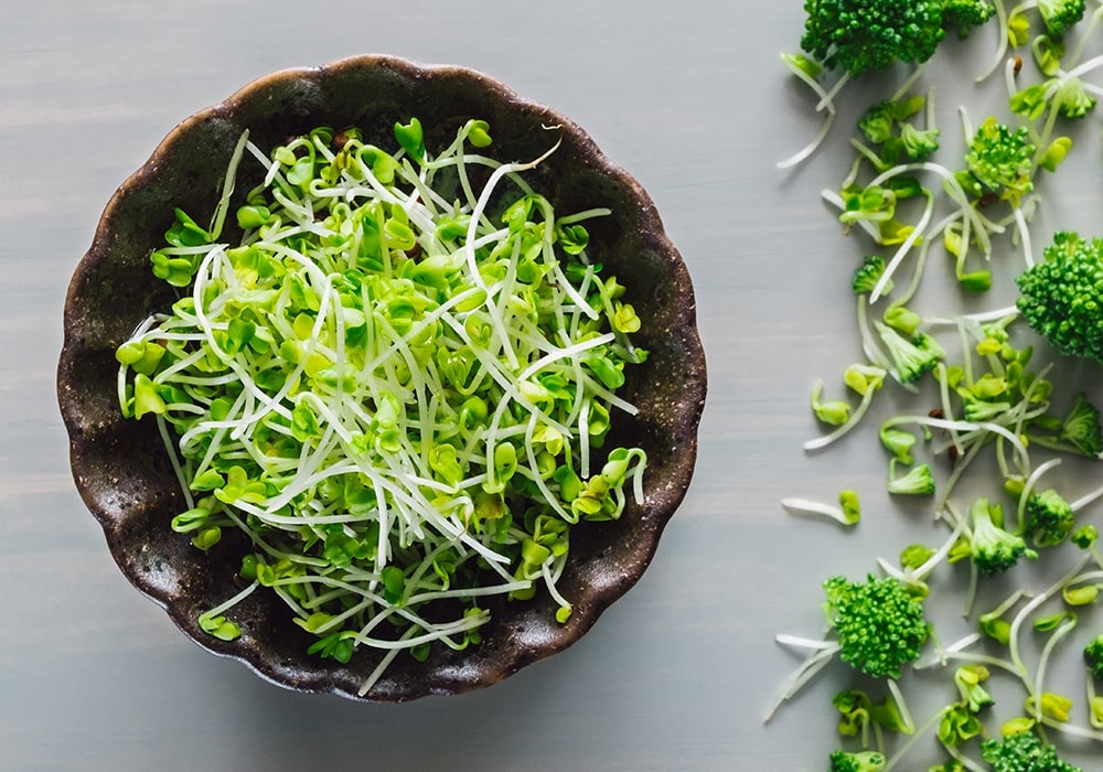 فواید اصلی جوانه کلم بروکلی-1