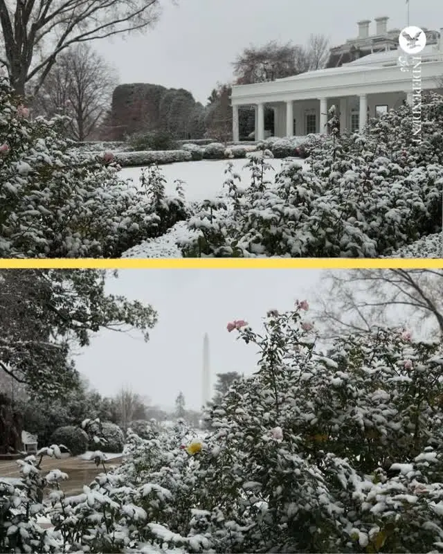 cd4ade1e-a98b-493f-80f6-dec96877d1e7