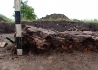 کشف گاو باستانی 6000 ساله در اوکراین + عکس