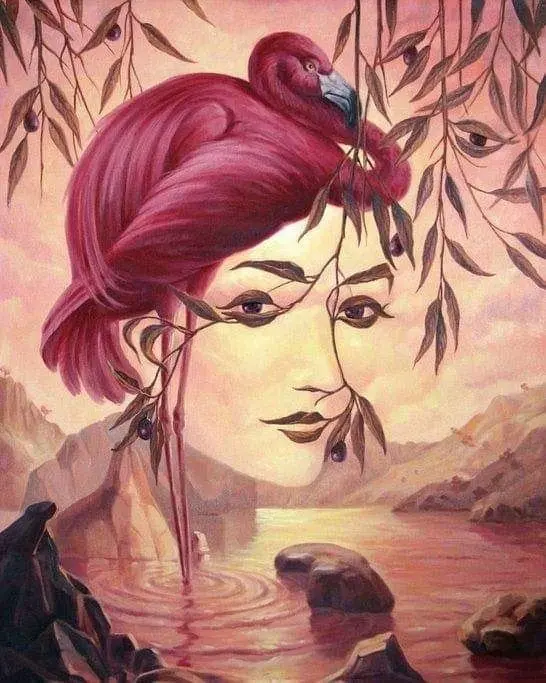 Optical-Illusion-Womans-face-flamingo