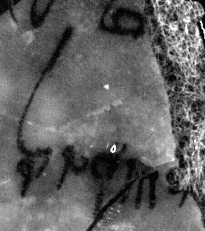 دستخط 2300 ساله