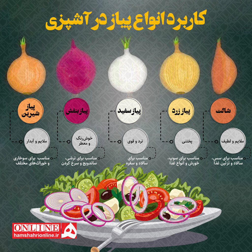 کاربرد انواع پیاز در آشپزی ؛ کدام رنگ پیاز برای چه غذایی مناسبتر است؟
