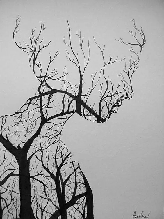 Optical-Illusion-Trees-Womans-face
