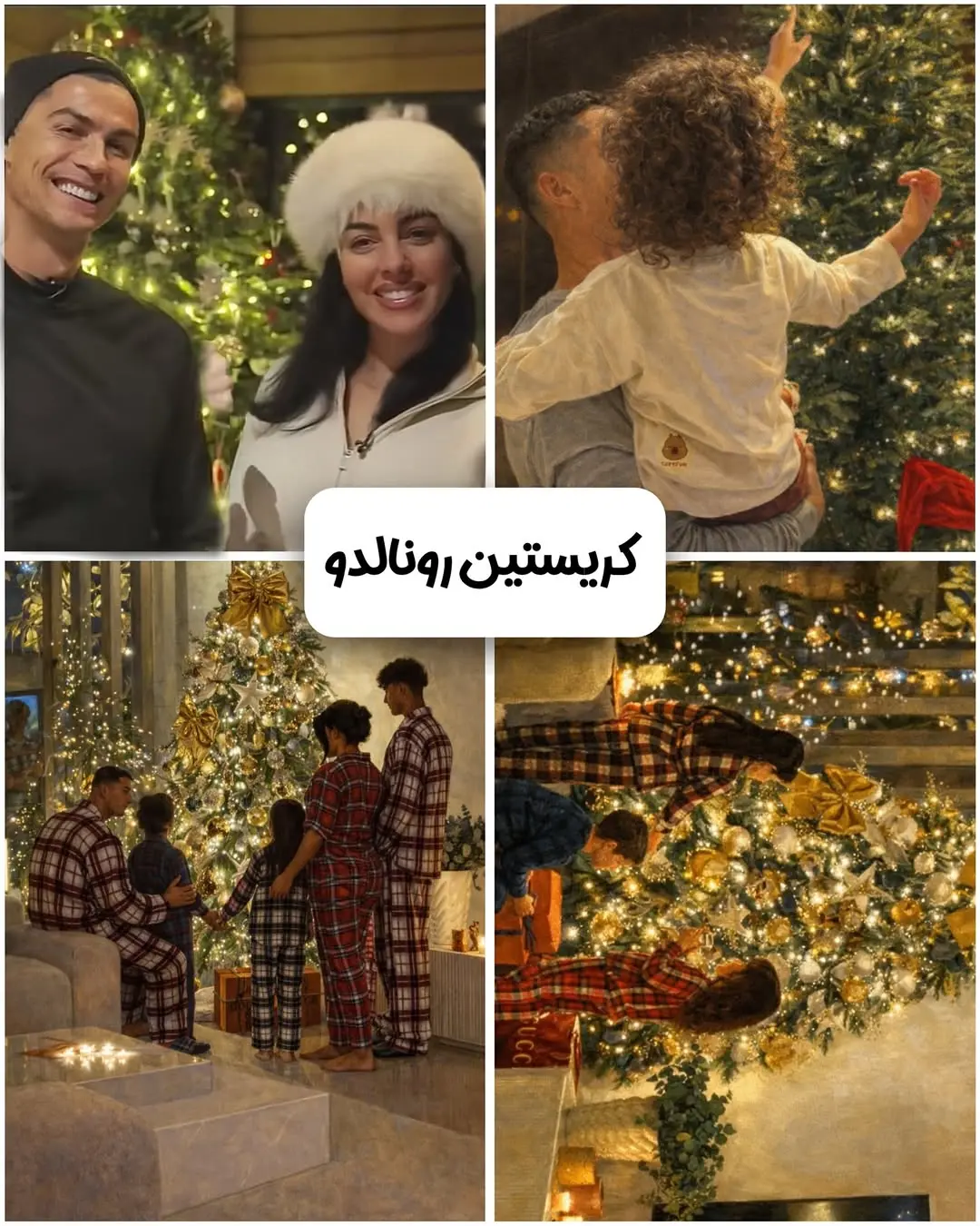 photo_2025-12-31_14-25-53