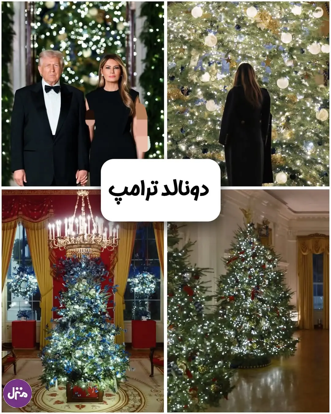 photo_2025-12-31_14-25-58