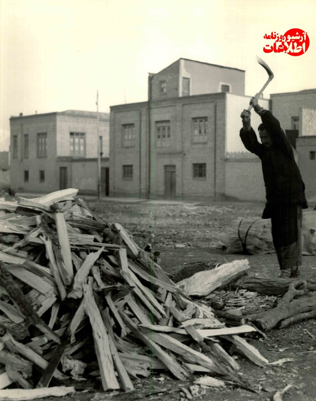 عکس‌/ آخرین هیزم‌فروشان تهران