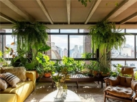 10 گیاه آپارتمانی مناسب افراد پرمشغله + عکس