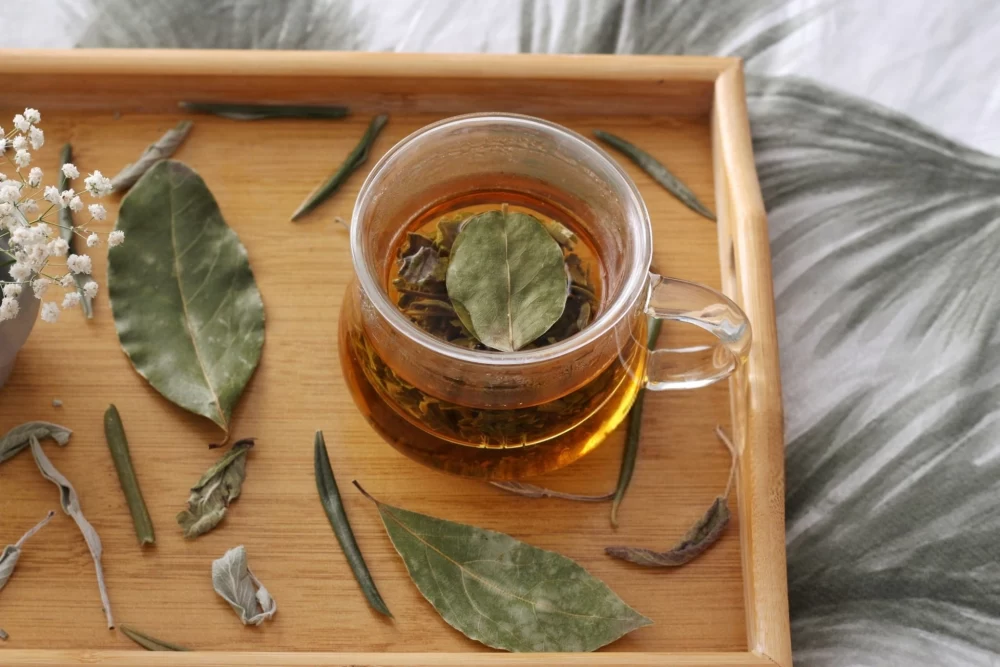 چای برگ بو