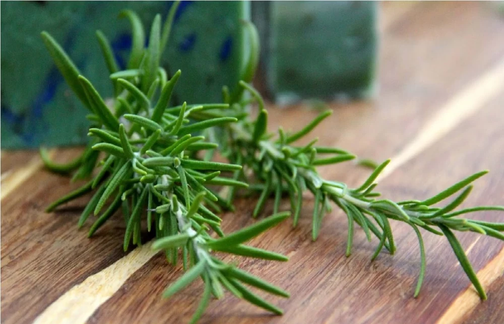 مضرات سبزی مرزه