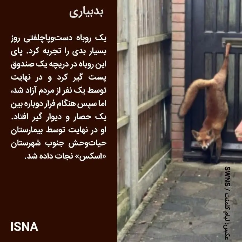 72e1704a-2131-415e-bfff-c66d806ffb77