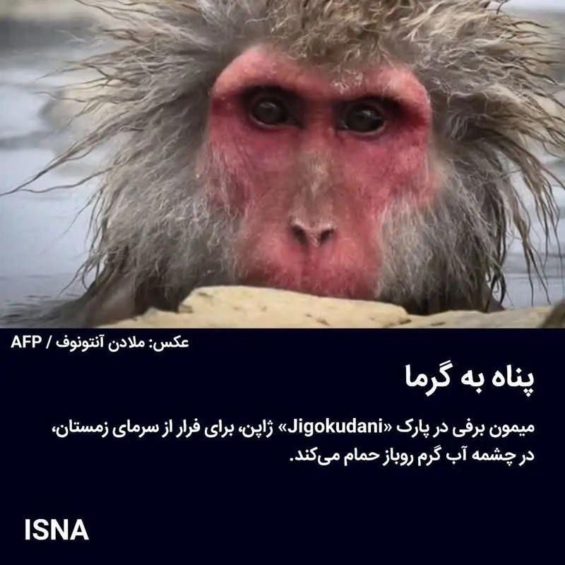 e398c25a-7ba9-4fc7-a586-08ee5bddbb09