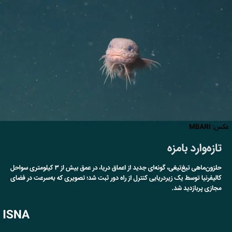 051c00de-2651-46c4-a88e-1d983191512e