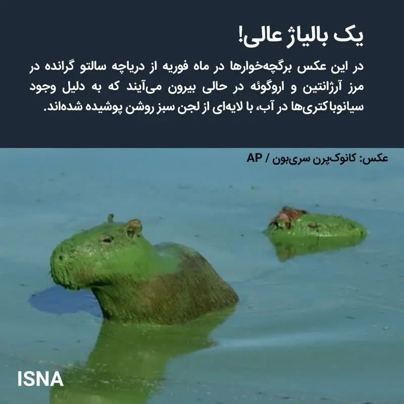 e1982903-6495-4b3a-b244-ad6304c59c88