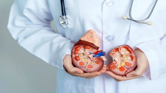 چرا بیماران کلیوی به مشکلات گوارشی دچار می‌شوند؟