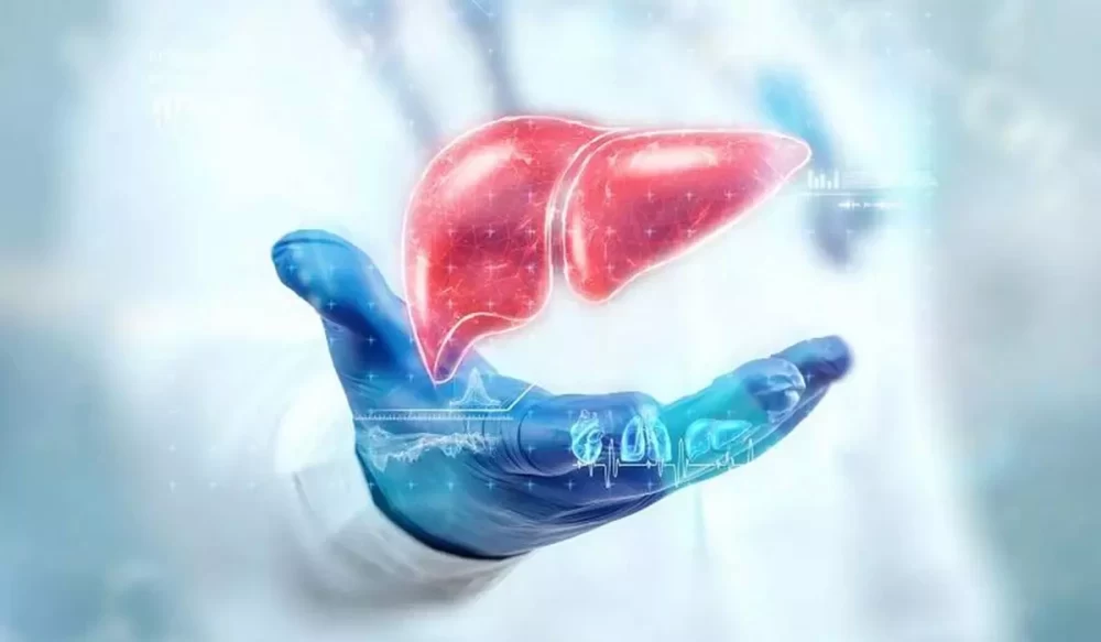 کبد چرب گرید 3 چیست؟ + 5 درمان خانگی کبد گرید 3