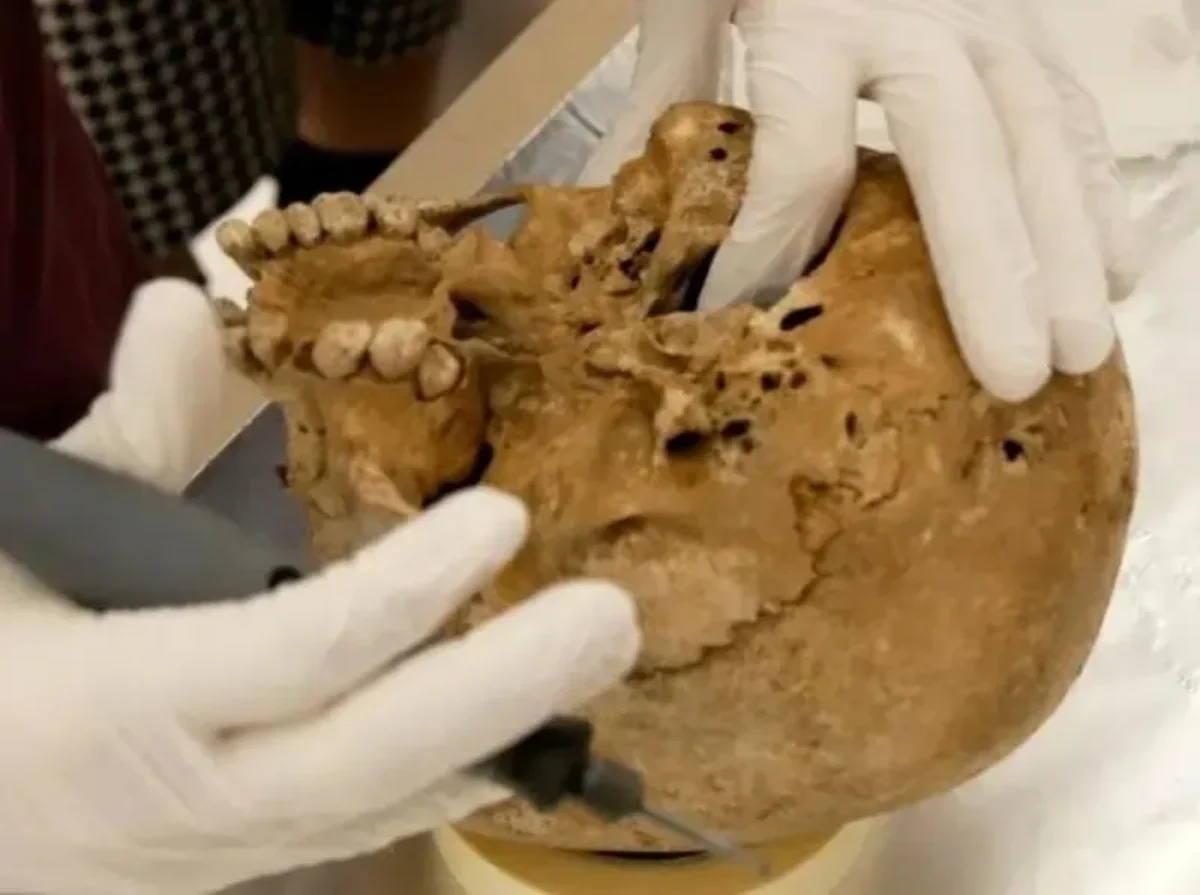 کشف شوکه کننده دانشمندان درباره جهش ژنتیکی نادر را در انسان باستان +عکس