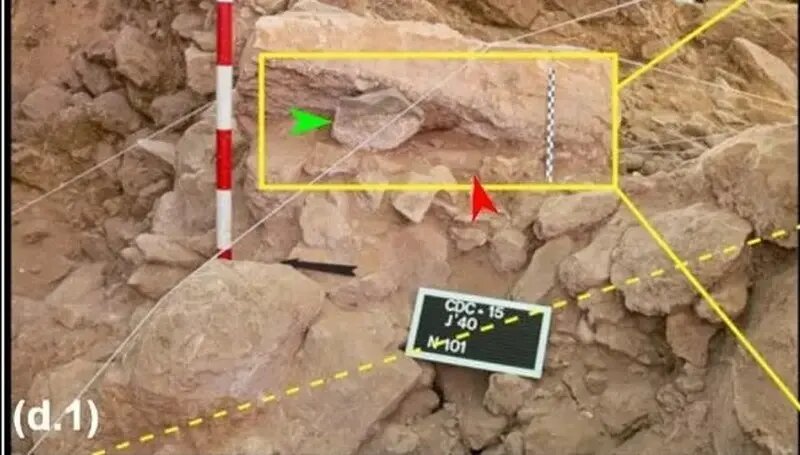 کشف غاری 43 هزار ساله پر از جمجمه حیوانات! | عکس