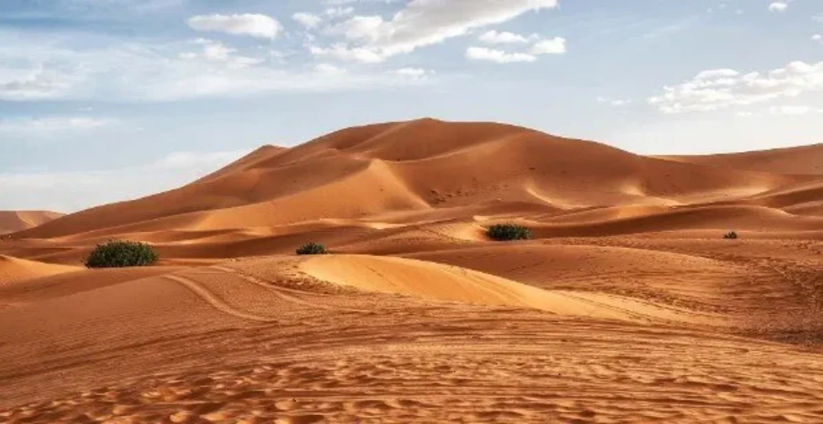 کشف مومیایی‌های 7000 ساله تاریخ را به چالش کشید