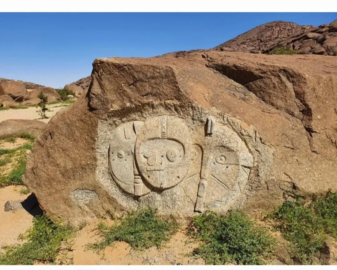 _20260203-100213_Gallery