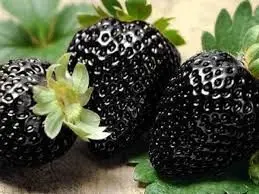 فواید توت فرنگی مروارید سیاه؛ ترند جدید اینستاگرمی!