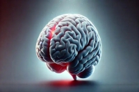 چهار روش کلیدی برای جوان نگه داشتن مغز