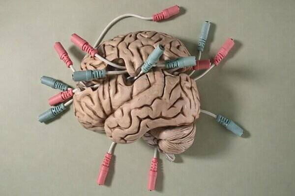 خودتان را سرزنش نکنید، تنبلی ارثی است!