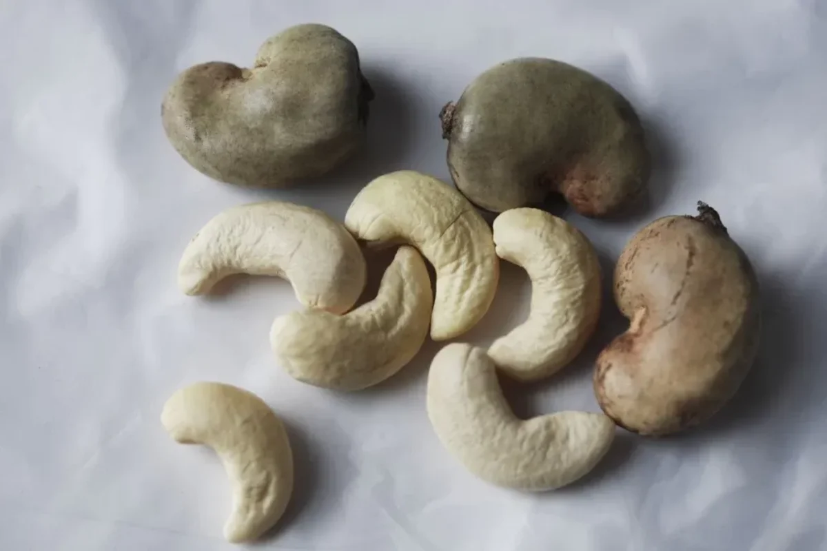 خواص بارو نکردنی بادام هندی برای کنترل فشار خون