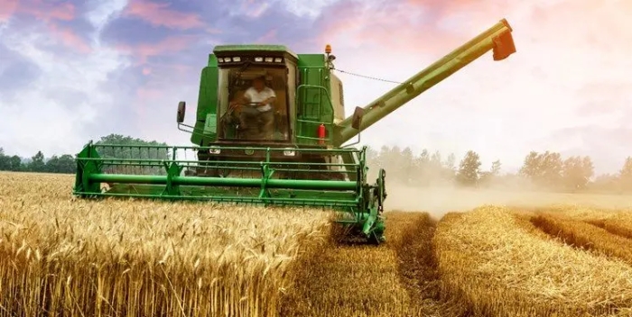 نرخ خرید تضمینی گندم توسط معاون وزیر جهاد کشاورزی ابلاغ شد