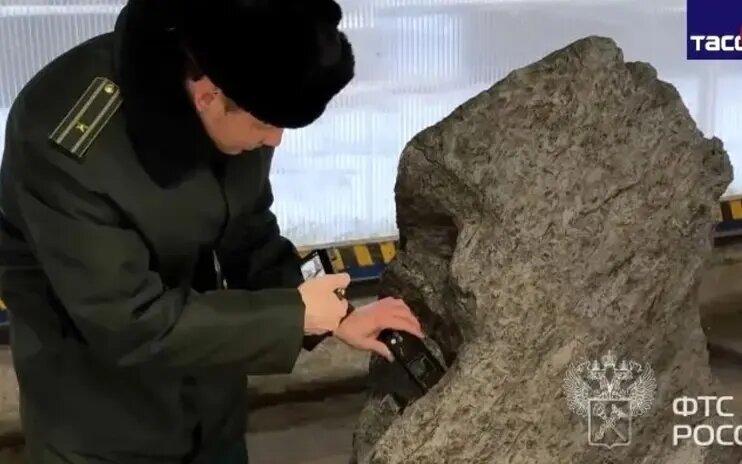 سنگ باغچه در واقع یک شهاب‌سنگ 4 میلیارد ساله بود | عکس