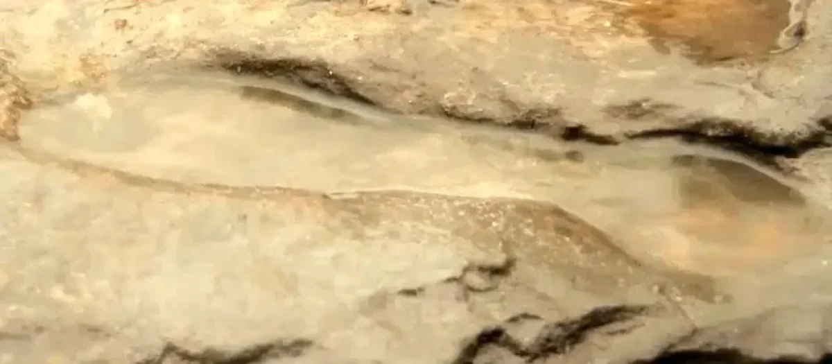 کشف ردپای انسانی 800 هزار سال در ساحل انگلیس! +عکس