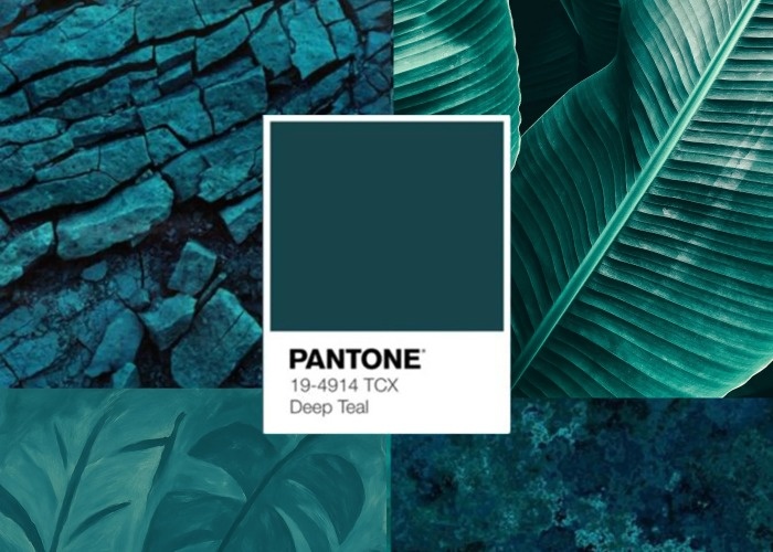 رنگ سال 2026 پنتون اعلام شد