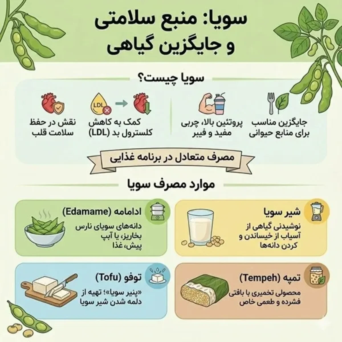 سویا و آجیل سویا چه تفاوتی دارند؟