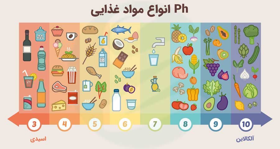 آیا لبنیات به دلیل خاصیت اسیدی، استخوان‌ها را پوک می‌کند؟/ شیر سویا و بادام چطور؟