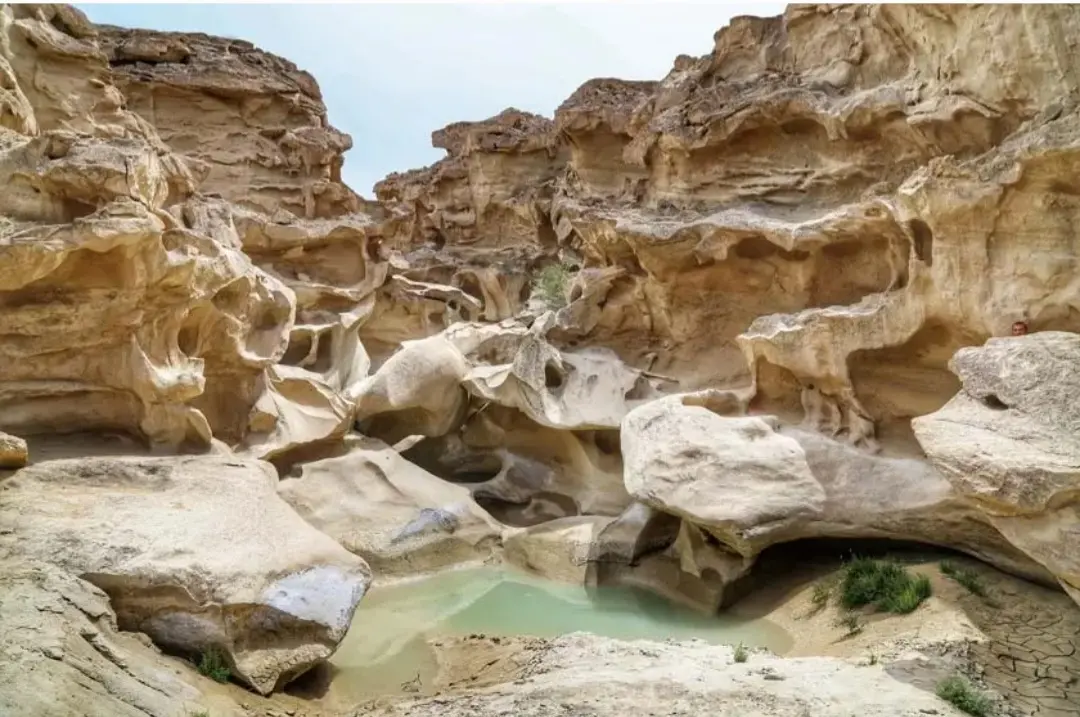 _20260214-154907_Gallery