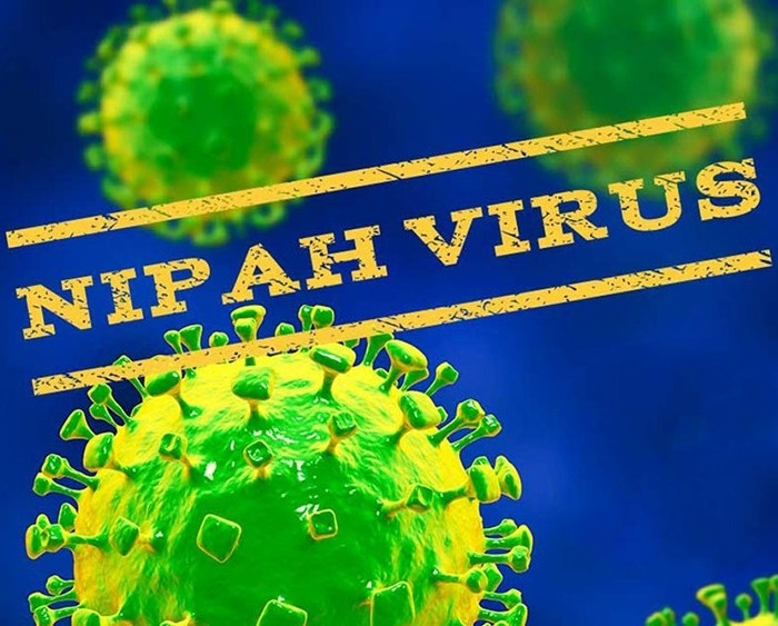 علائم بیماری نیپا