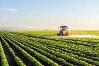 رفع تنگناهای فناورانه برای کاهش وابستگی در حوزه غذا و کشاورزی