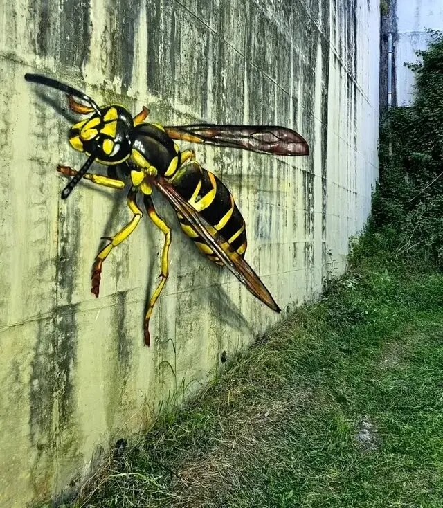 شاهکارهای سه‌بعدی نقاش پرتغالی | عکس