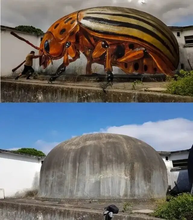 شاهکارهای سه‌بعدی نقاش پرتغالی | عکس