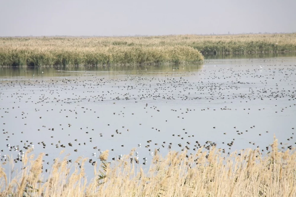  تالاب کانی برازان میاندوآب