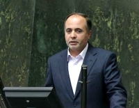 پرداخت یارانه برای گندم‌کاران | قیمت مرغ دوباره تغییر می کند؟