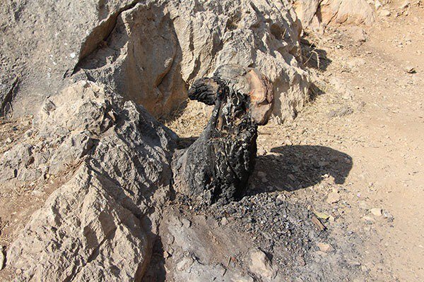 خط قرمزِ آتشکده ساسانی شکسته شد