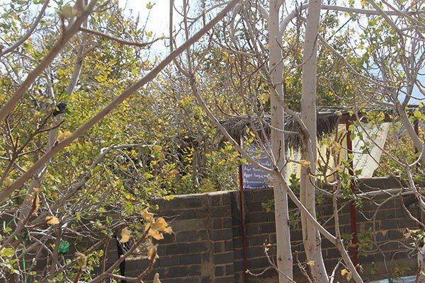 خط قرمزِ آتشکده ساسانی شکسته شد