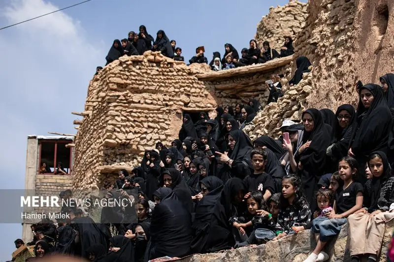 نخل گردانی6